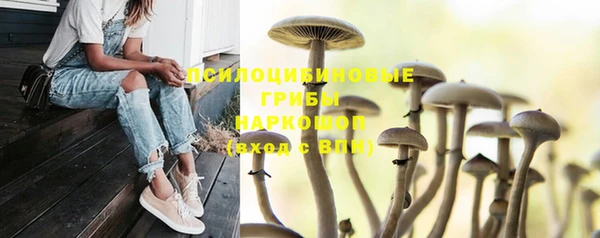 марихуана Новозыбков